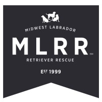 Midwest Labrador Retriever Rescue, Inc. logo