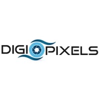 DIGI PIXELS Security System LLC logo
