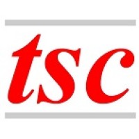 Technology Strategy Consultants logo