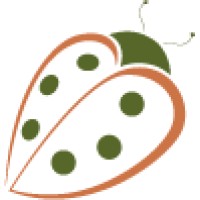 Ladybug Child Care Center, Inc. logo