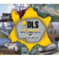 DLS, LLC logo