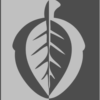 Grain Design Custom Hardwood Flooring logo