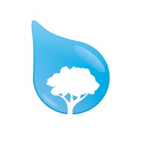 Bluestone Tree logo