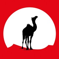 Black Camel Pictures logo
