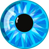 Emerald Coast Eye Institute logo