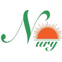 Nury Dian Xin Delight Pte Ltd logo