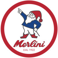 MERLINI logo