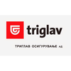 Triglav Osiguranje D.d. logo