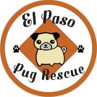 El Paso Pug Rescue logo
