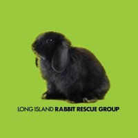 Long Island Rabbit Rescue Group logo