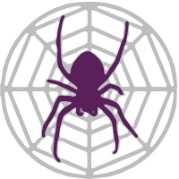 Spider Project Team logo