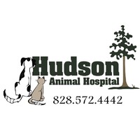 Image of Hudson Animal Hospital - North Carolina