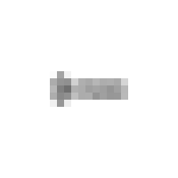 Spartanburg Philharmonic logo