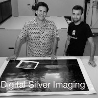 Digital Silver Imaging logo
