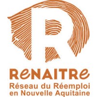 ReNAITRe logo