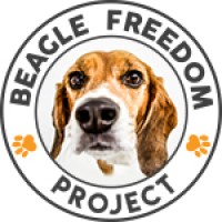 Beagle Freedom Project logo