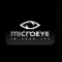 MicroEYE Interactive logo