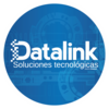 DataLink Software Consultants logo