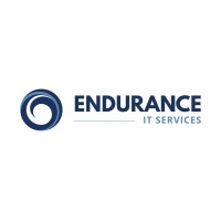 Endurance IT Services logo