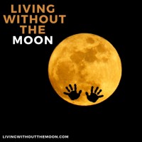 LivingWithoutTheMoon Foundation logo