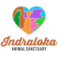 Indraloka Animal Sanctuary logo