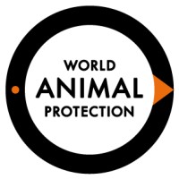 Image of World Animal Protection Australia