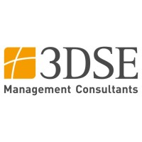 3DSE Management Consultants GmbH logo