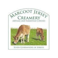 Marcoot Jersey Creamery logo
