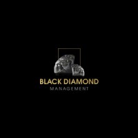 Black Diamond Management Inc. logo