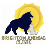 Brighton Animal Clinic logo