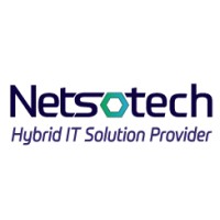 Netso LLC logo