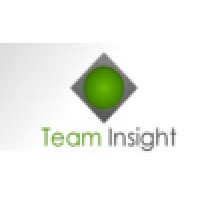 Team Insight logo