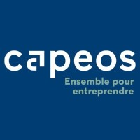 CAPEOS CONSEILS logo
