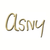 THE ASNY COMPANY LLC logo