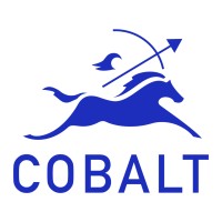 Cobalt Partners logo