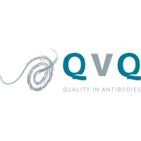 QVQ Holding BV logo