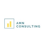 AMN Consulting LLC logo