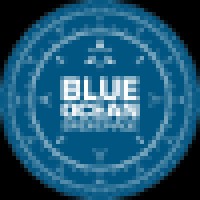 Blue Ocean Brokerage logo