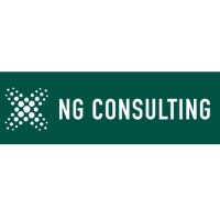 NG Consulting logo