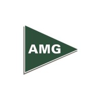 AMG Wealth Partners, LP logo