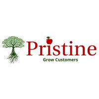 Pristine Infotech, Inc.