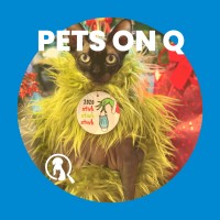 Pets On Q logo