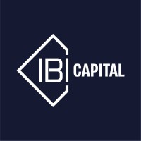 IBI CAPITAL LTD logo