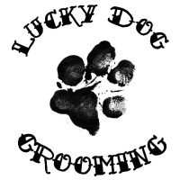 Lucky Dog Grooming logo