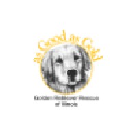 As Good As Gold Golden Retriever Rescue Of Illinois logo