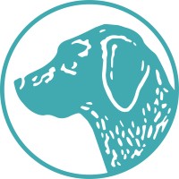 Bird Dog Hospitality logo