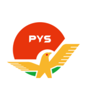 Shenzhen PYS Industrial Co., Ltd. logo
