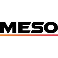MESO Solutions logo