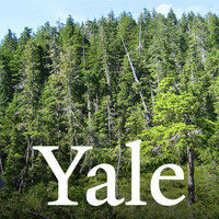 Image of Yale Office of Sustainability