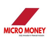 MICROMONEY INTERNATIONAL logo